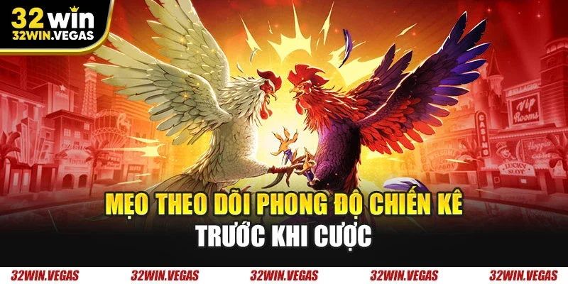 Mẹo theo dõi phong độ chiến kê trước khi cược